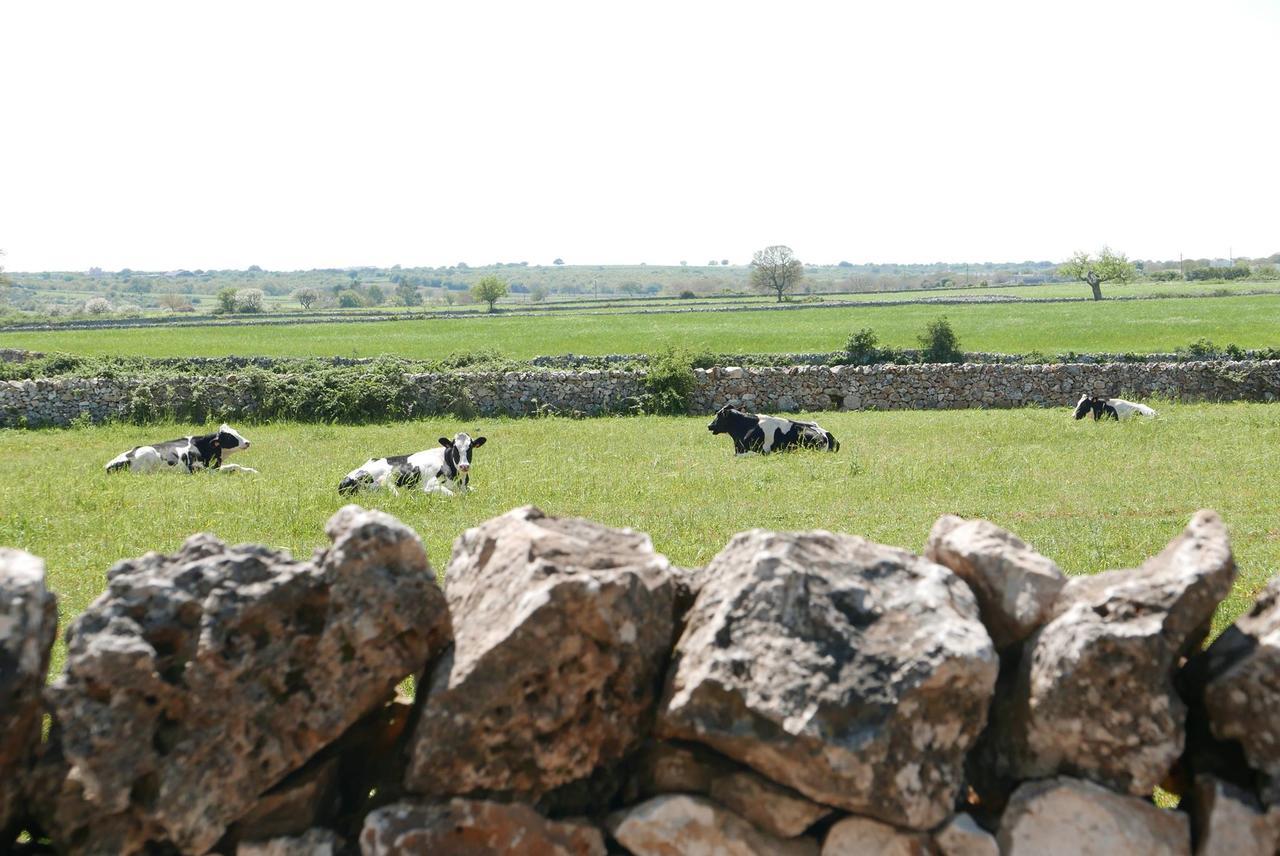 Masseria Murgia Albanese Noci Ngoại thất bức ảnh